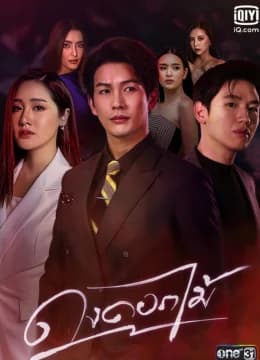 Rừng Hoa Rực Lửa - Dong Dok Mai